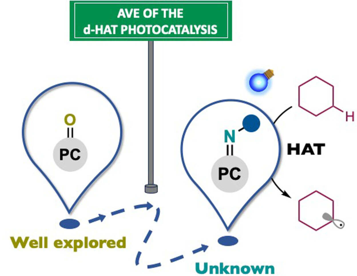 Zwitterionic Acridinium Amidate: A Nitrogen-Centered Radical Catalyst for Photoinduced Direct Hydrogen Atom Transfer